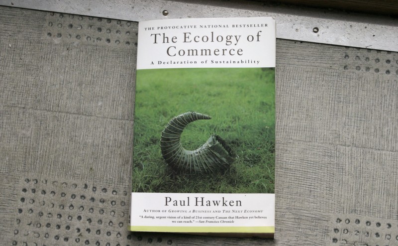 Paul Hawkin's 1993 "The Ecology of Commerce: A declaration of sustainability"