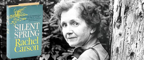 <strong><em>Rachel Carson</em></strong>